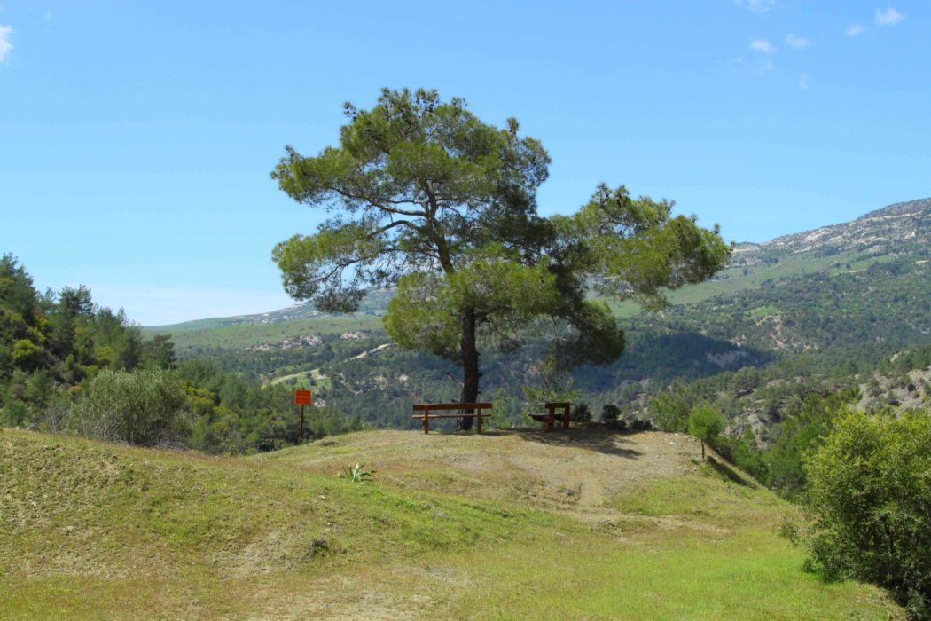 A Peaceful Spot On The Way To Roudia Bridge