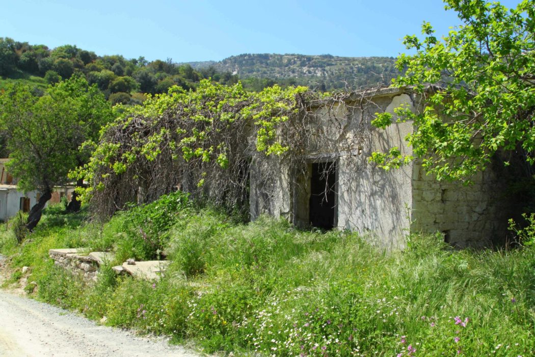 Vegetation Had Taken Over The Building