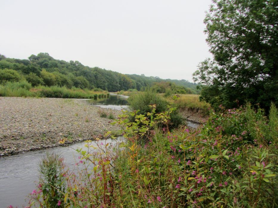 The River Caldew