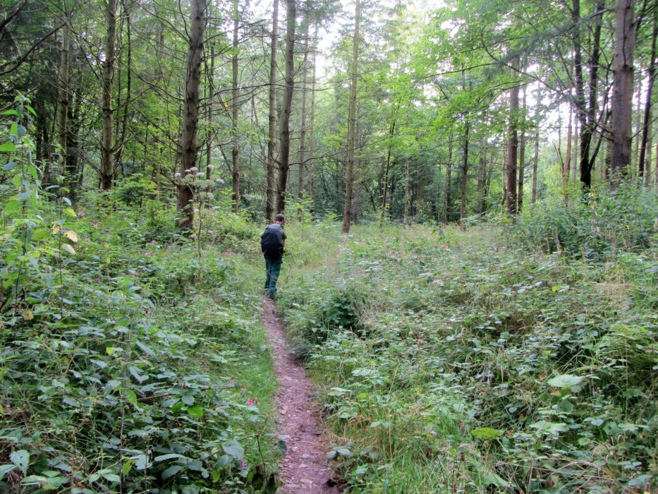 Neil In Dentonside Wood