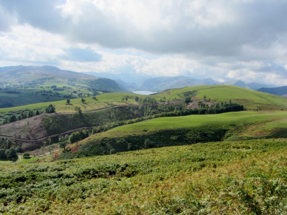 A Glimpse Of Derwent Water Behind Latrigg
