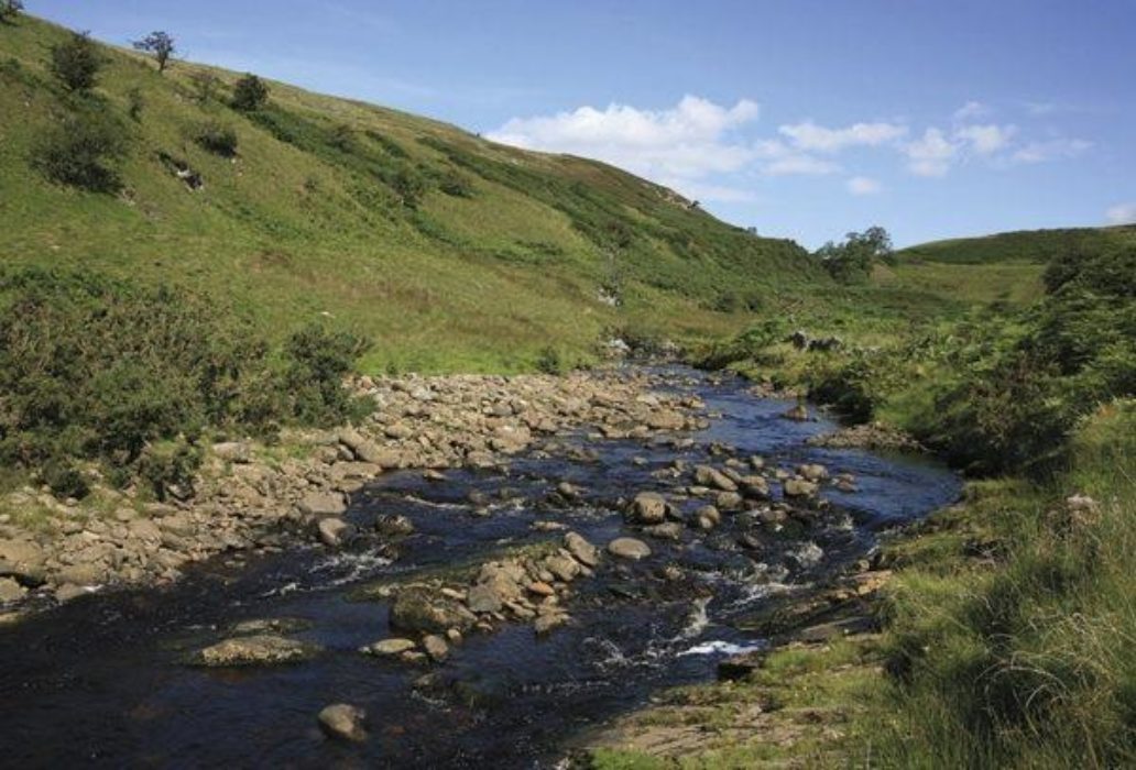Beyond Springs Wood, the path briefly closes with Leck Beck (Walk 25)